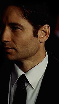 foxmulder3.jpg (11071 bytes)